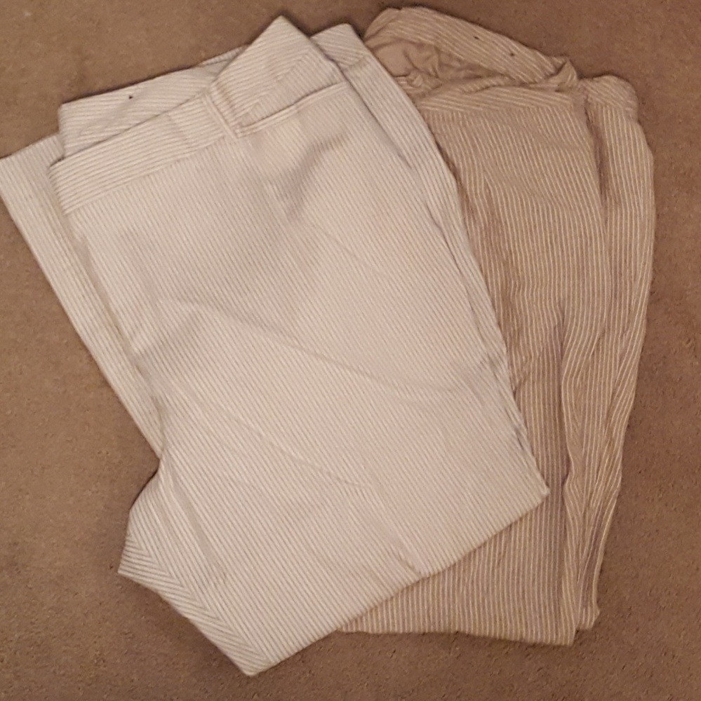 🐪Summer Pants🐪